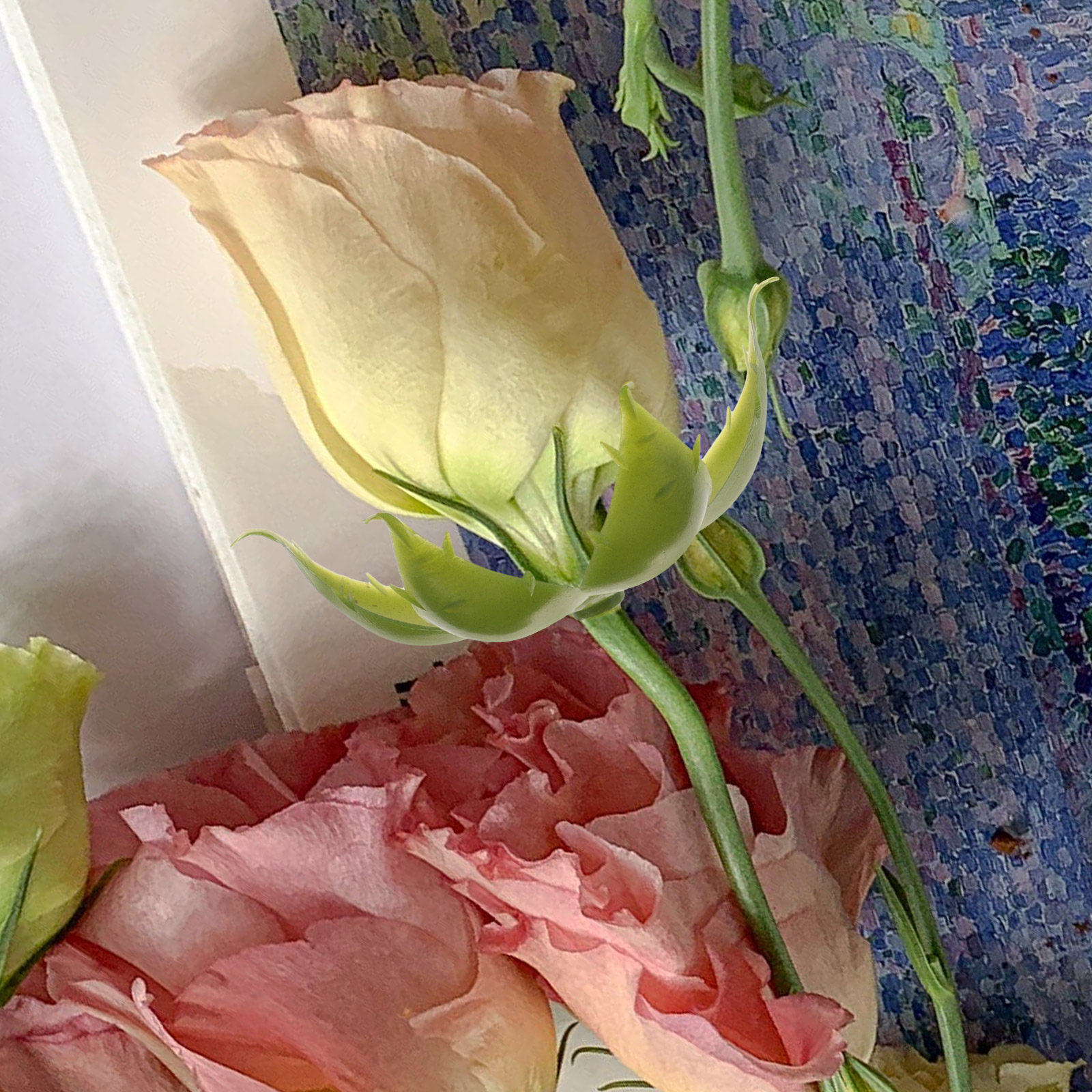 50個入り 人工バラの花弁（萼） プラスチック製 花飾り D - Soap Making Ins のレビューと価格